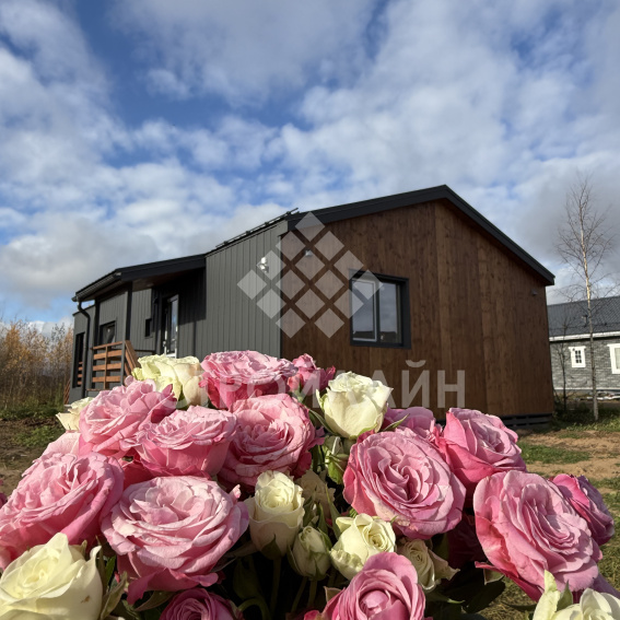 BarnHaus 90м2 в Неготино, Тверь